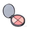 Poudre de maquillage pour palette de poudre Private Label Blusher